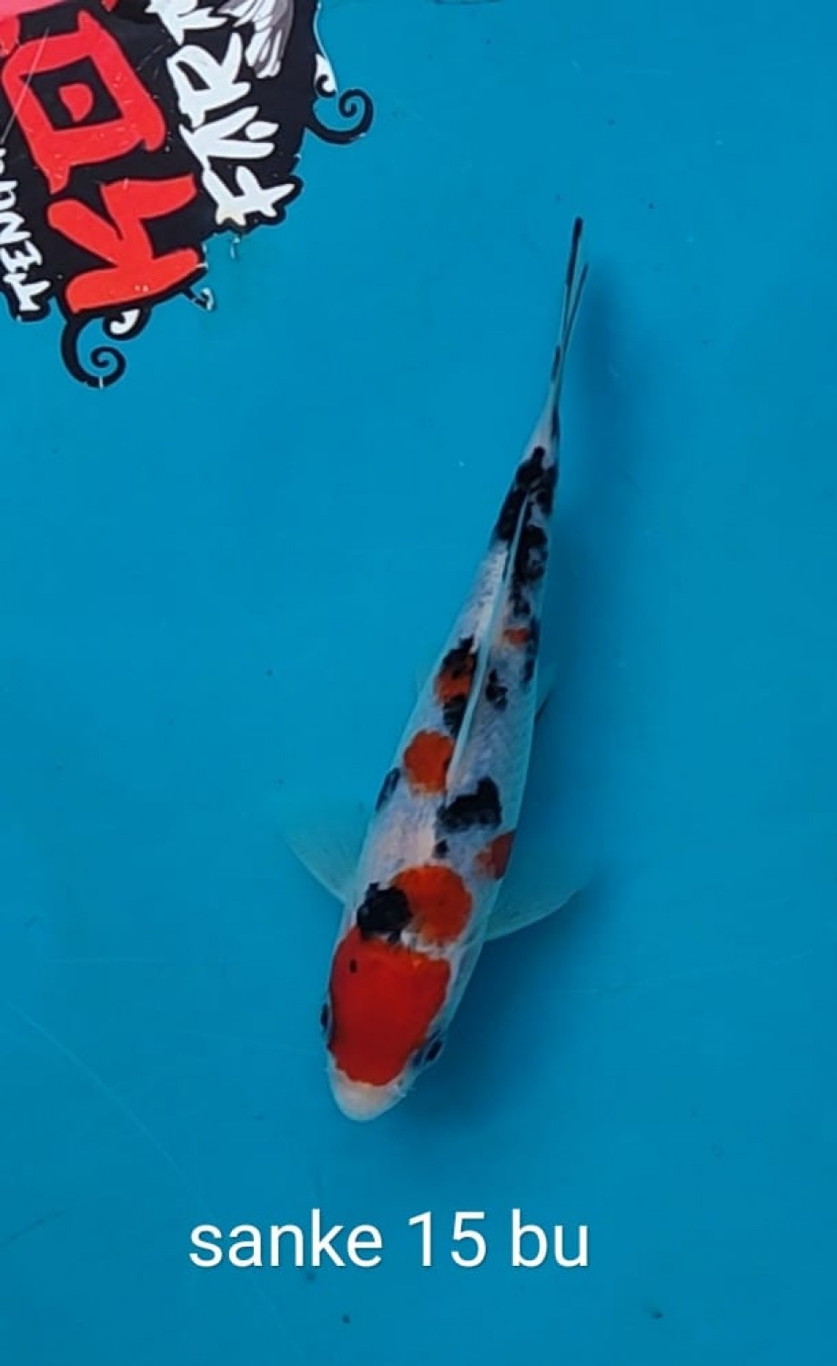Juara 2