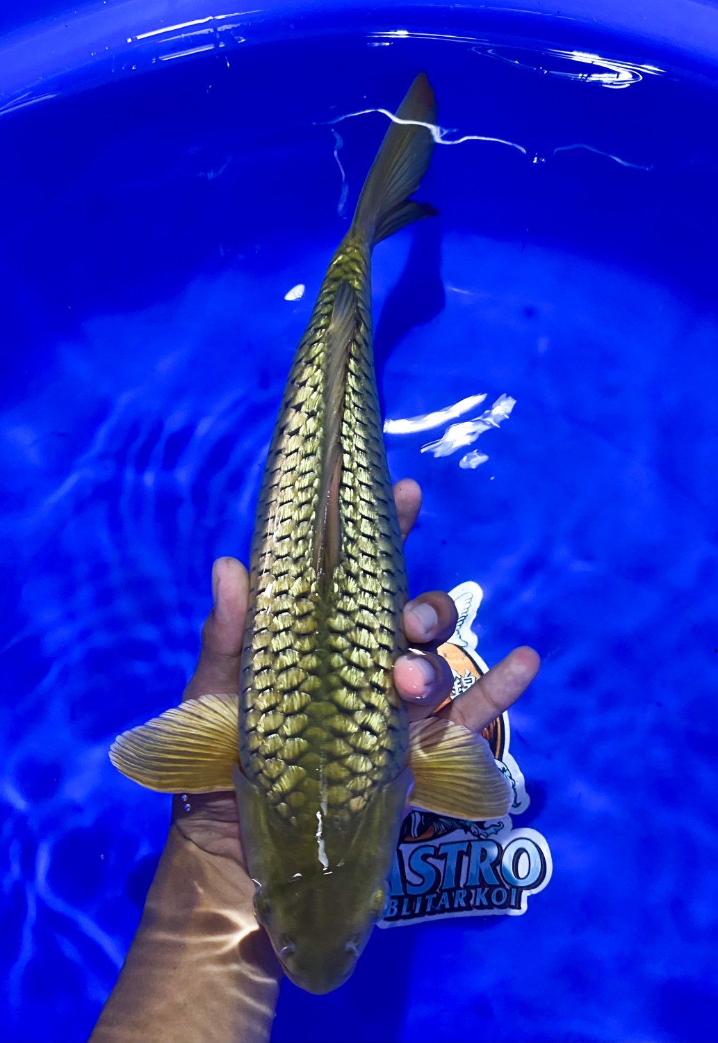 Juara 1