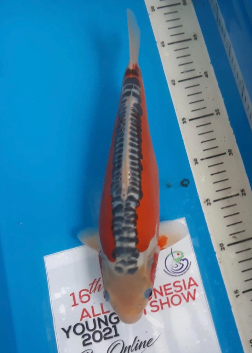Juara 2