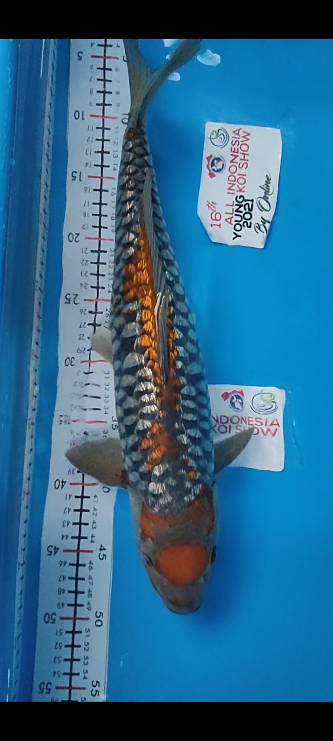 Juara 1