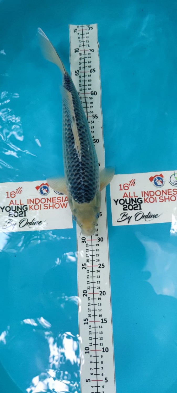 Juara 1