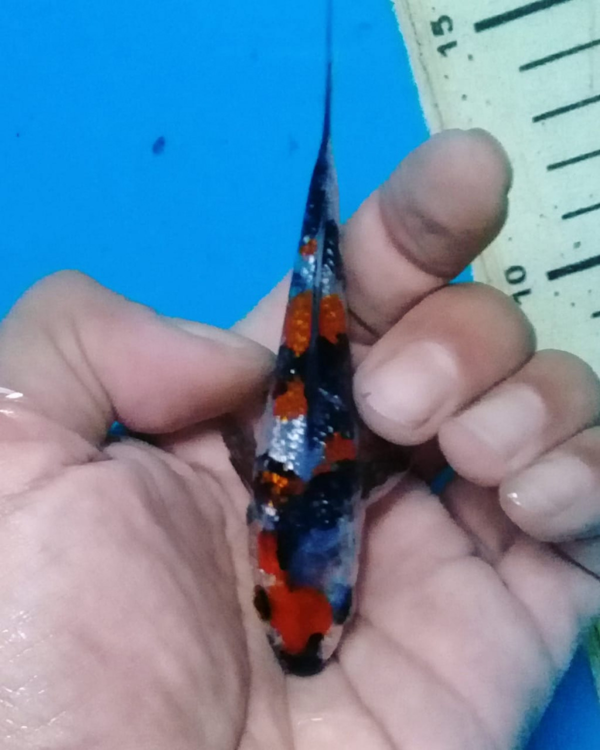 Juara 1