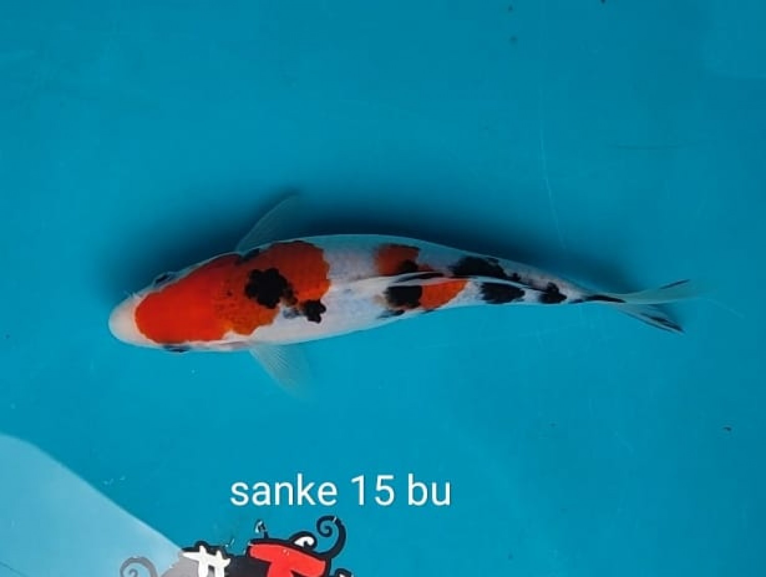 Juara 1