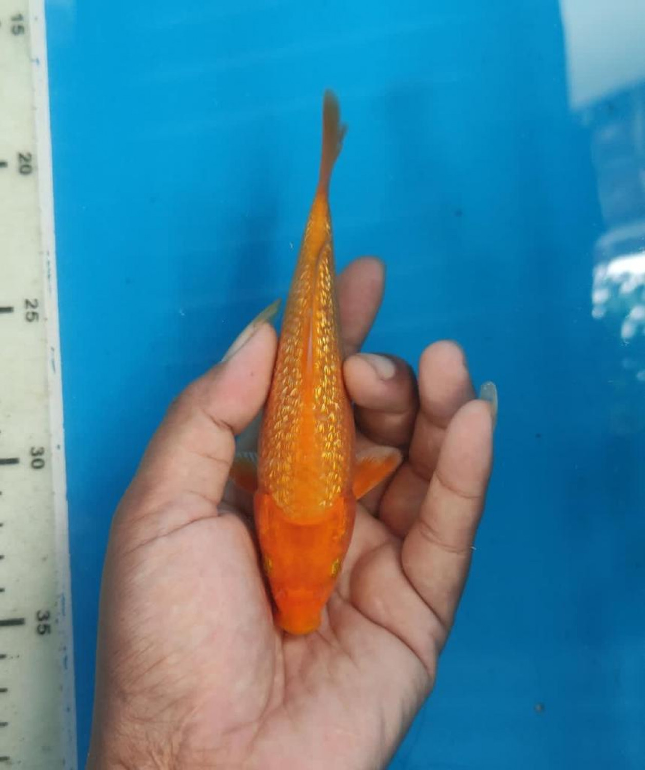 Juara 2
