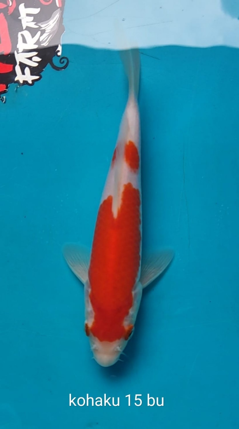 Juara 2