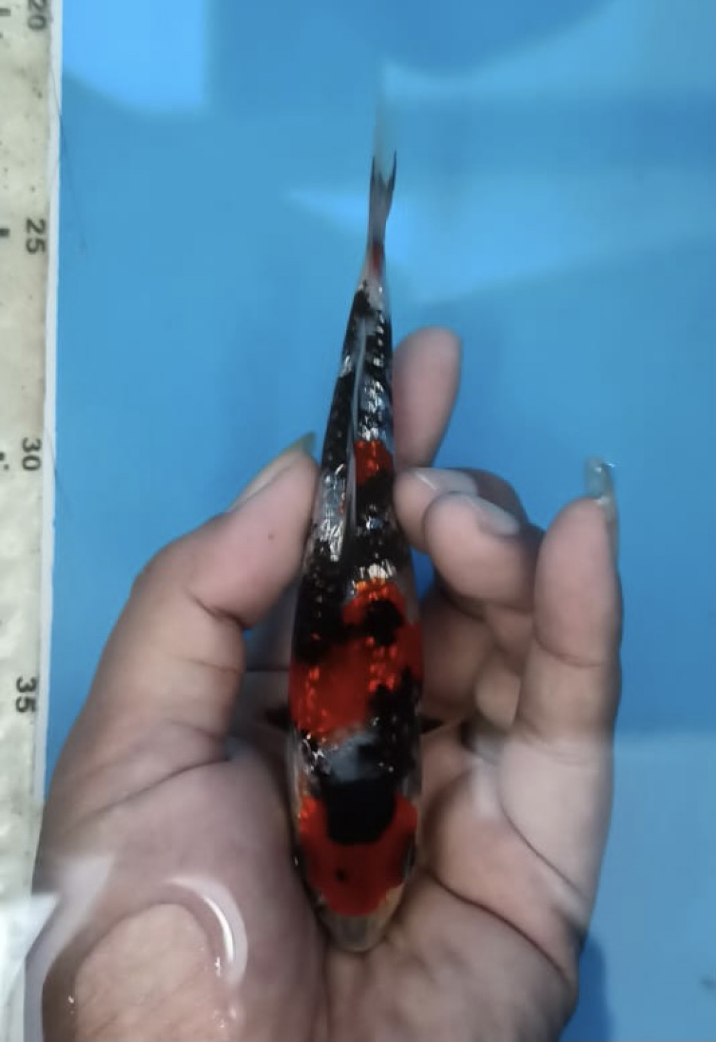Juara 1