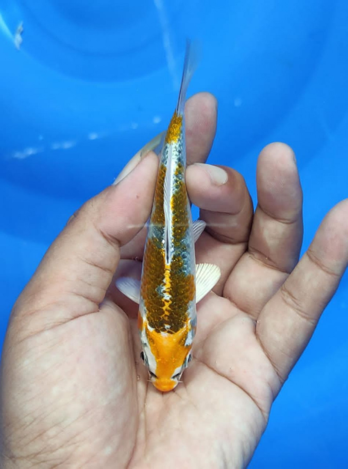Juara 2