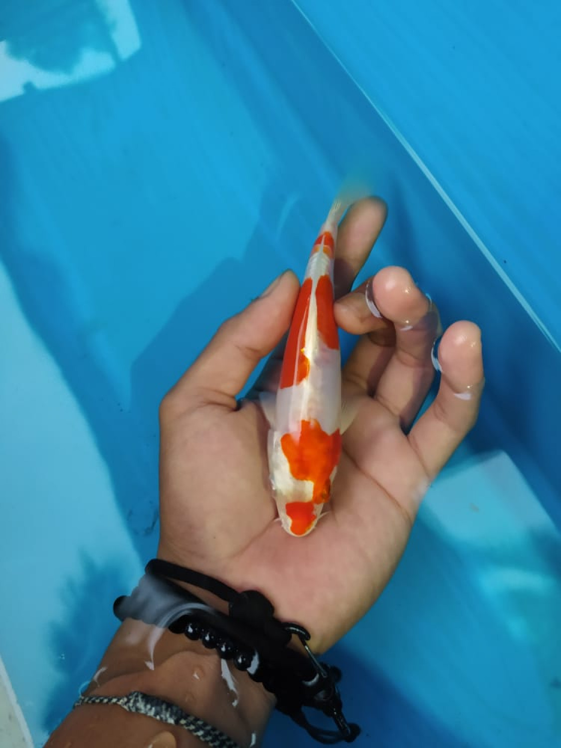 Juara 1