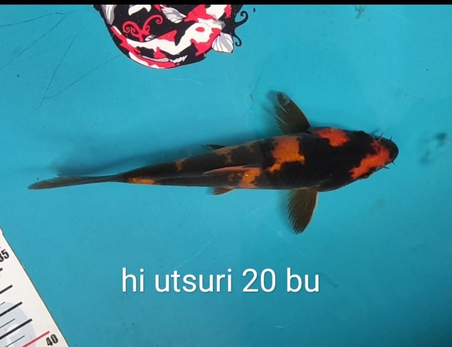 Juara 1