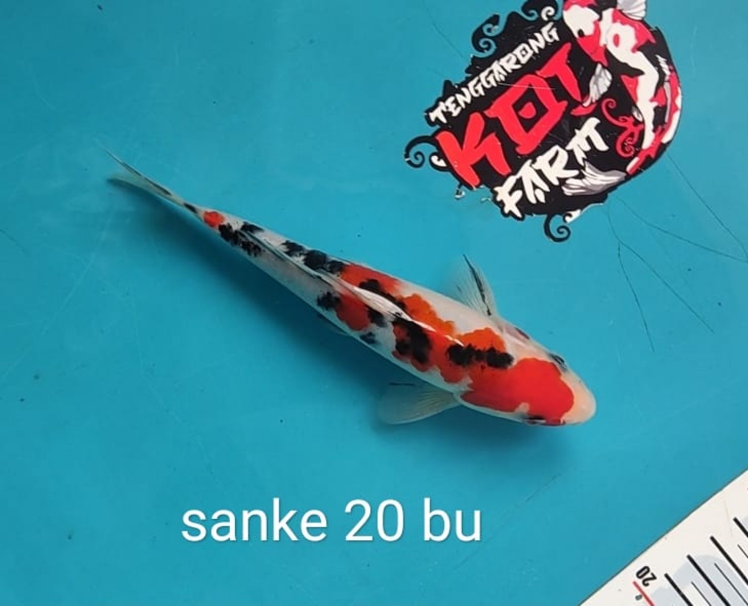 Juara 2