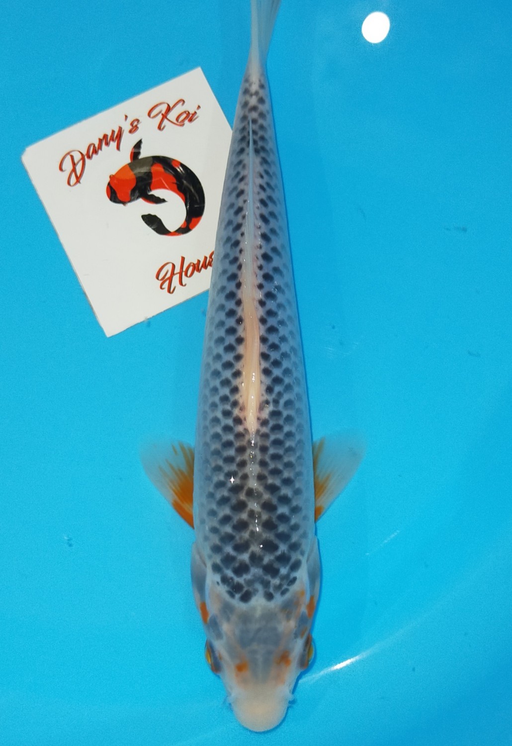 Juara 2